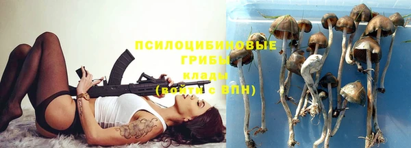 ПСИЛОЦИБИНОВЫЕ ГРИБЫ Алексеевка