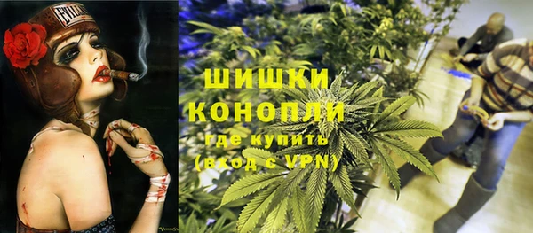 ГАЛЛЮЦИНОГЕННЫЕ ГРИБЫ Абаза