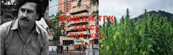 прущие крисы Гусь-Хрустальный
