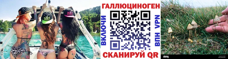mega зеркало  Тогучин  Галлюциногенные грибы MAGIC MUSHROOMS 